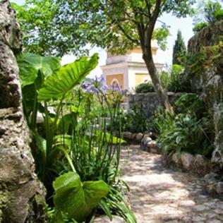 Le-Jardin-Exotique-d’Eze