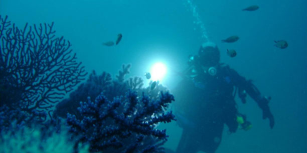 Diving in the Villefranche Bay from Saint-Jean-Cap-Ferrat