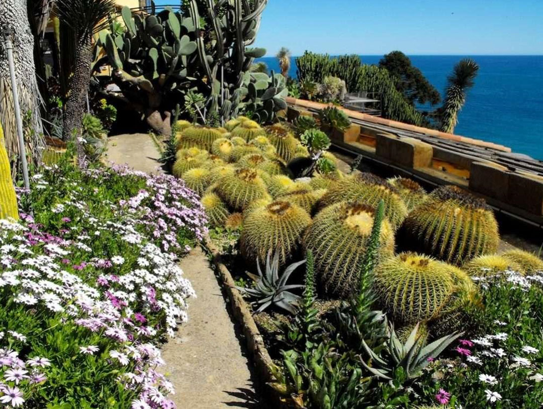 Pallanca Exotic Garden