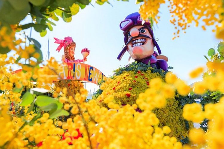 Mimosa Season in the South of France