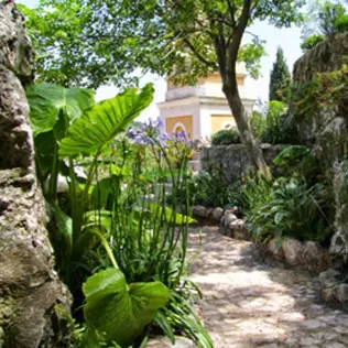 Le-Jardin-Exotique-d’Eze